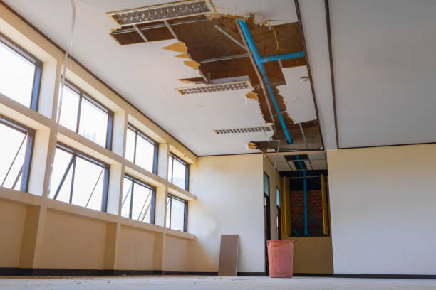 Best Water damage restoration insurance claims  in Home Gardens, CA