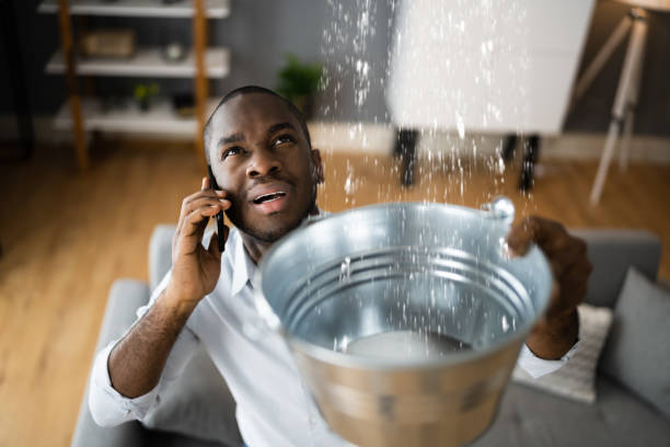 Best Water damage cleanup near me  in Home Gardens, CA