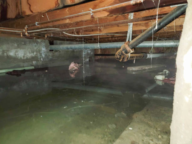 Best Fire Damage Restoration  in Home Gardens, CA