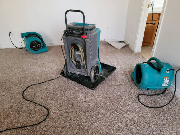 Best Water damage contractors near me  in Home Gardens, CA