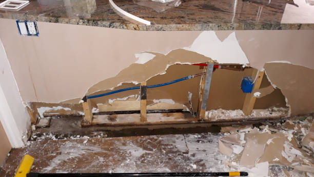 Best Carpet water damage restoration  in Home Gardens, CA