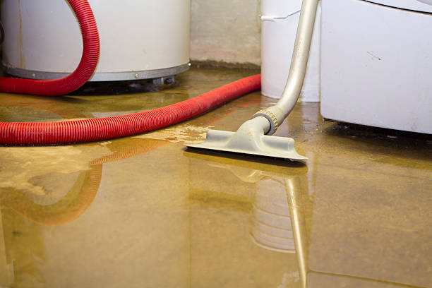Best Water damage restoration specialists  in Home Gardens, CA