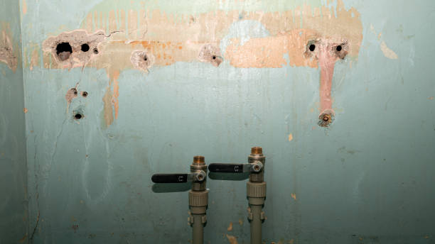 Best Professional water damage repair  in Home Gardens, CA