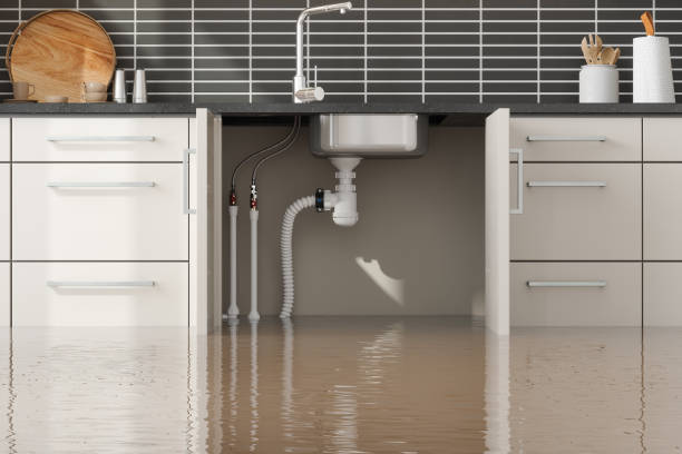 Best Water damage contractors near me  in Home Gardens, CA